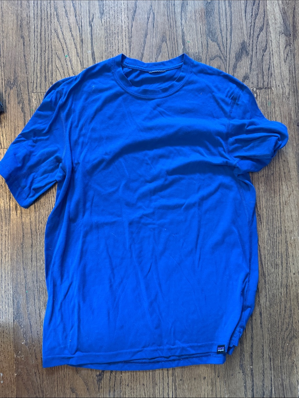 Patagonia blue Short Sleeve Crew T-Shirt
